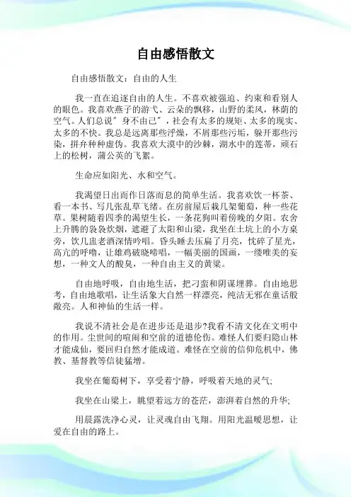 自由感悟散文.doc
