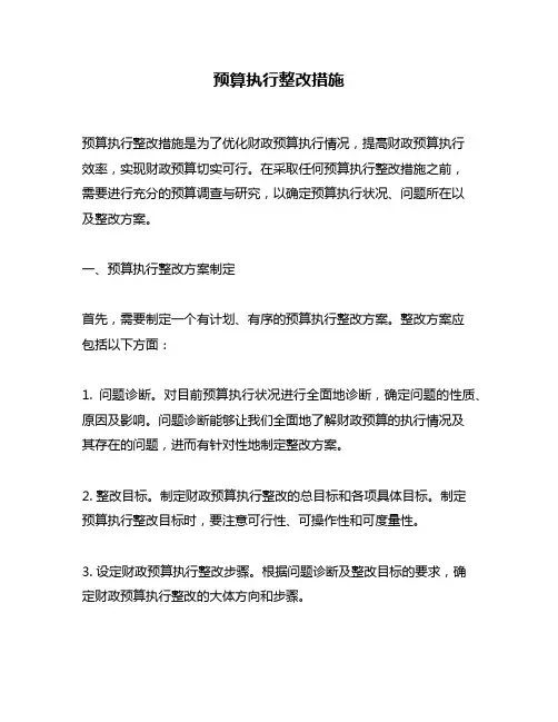 预算执行整改措施