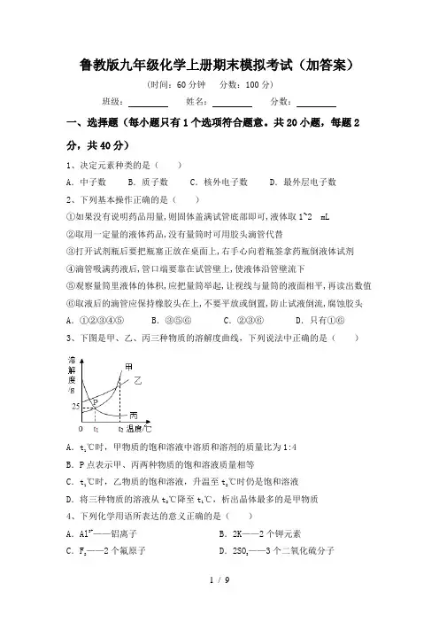 鲁教版九年级化学上册期末模拟考试(加答案)