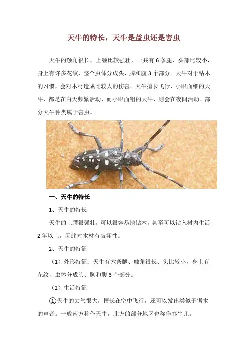 天牛的特长,天牛是益虫还是害虫