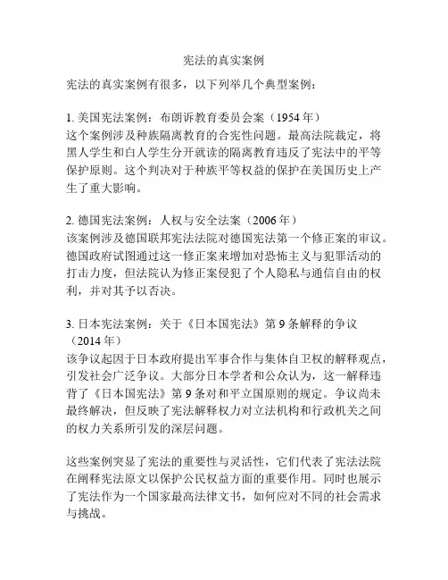 宪法的真实案例