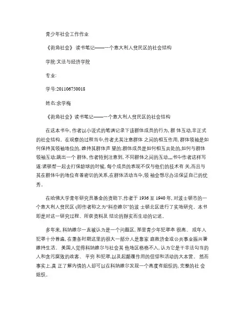 青少年社会工作作业---街角社会读书笔记讲解