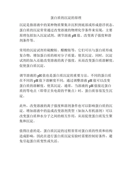 蛋白质的沉淀的原理