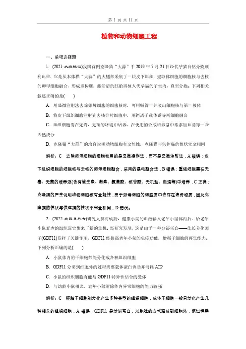高三总复习生物检测题 植物和动物细胞工程