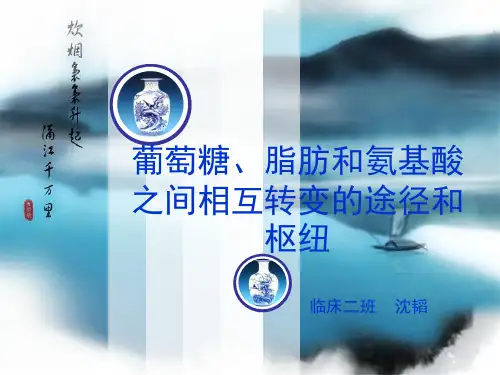 生物化学 葡萄糖、脂肪和氨基酸之间相互转变的途径和枢纽