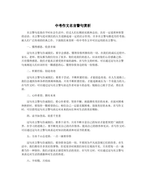 中考作文名言警句赏析