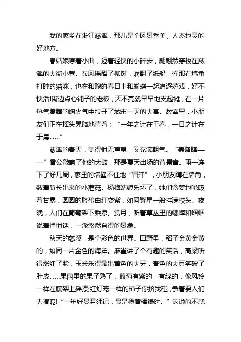 写慈溪乡情作文