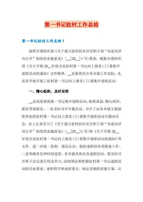 第一书记驻村工作总结
