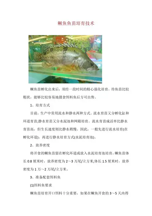 鳜鱼鱼苗培育技术