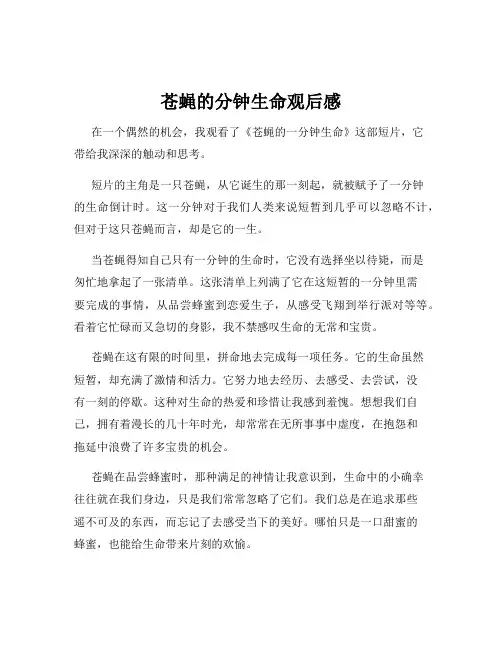 苍蝇的分钟生命观后感