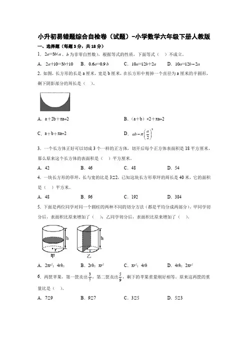 小升初易错题综合自检卷(试题)-小学数学六年级下册人教版