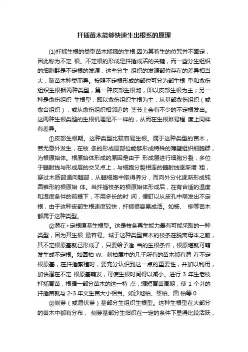 扦插苗木能够快速生出根系的原理