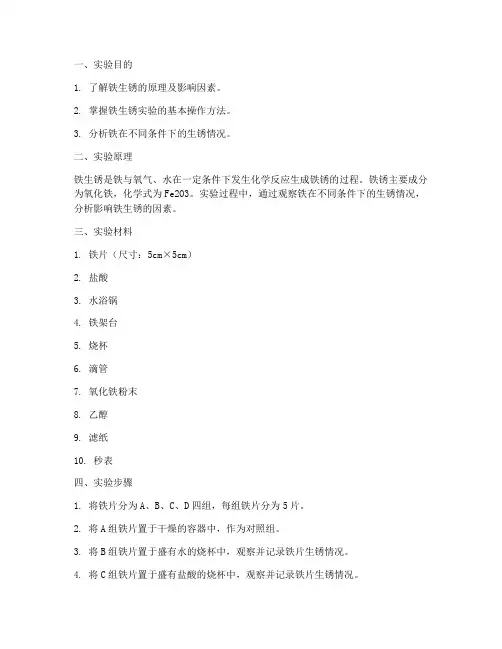 实验报告单铁生锈