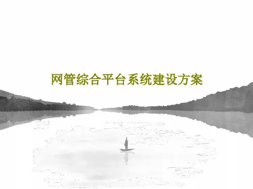 网管综合平台系统建设方案共46页PPT