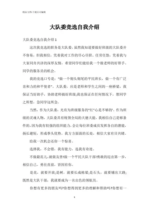 大队委竞选自我介绍