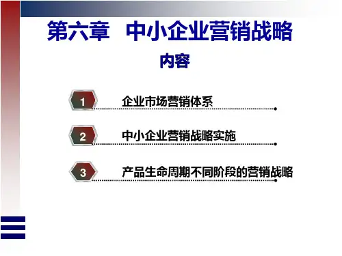 中小企业战略管理第六章 PPT课件
