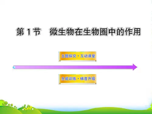 八年级生物上册 第十八章 第一节 微生物在生物圈中的作用课件 北师大版