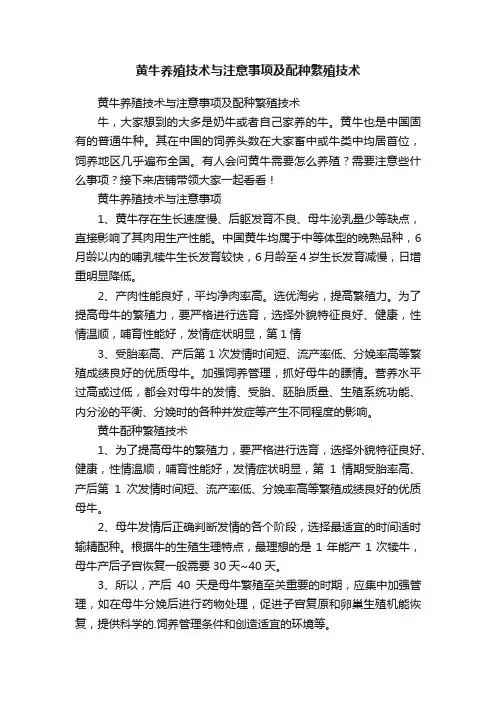 黄牛养殖技术与注意事项及配种繁殖技术