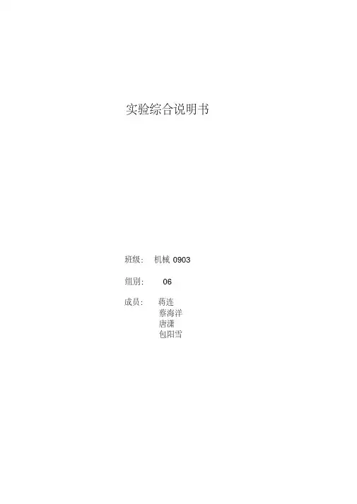 综合实验报告页