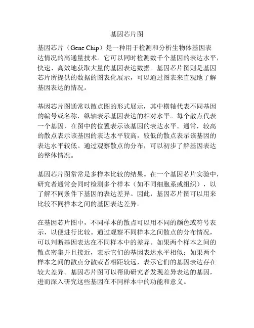 基因芯片图