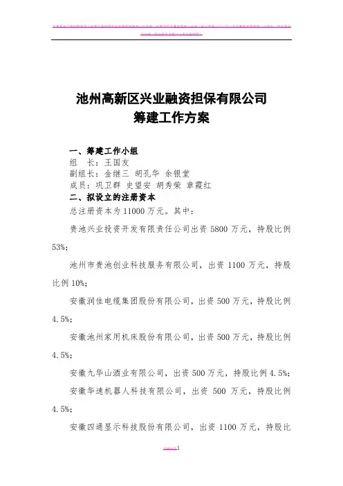 安徽池州高新区兴业担保有限公司筹备工作方案