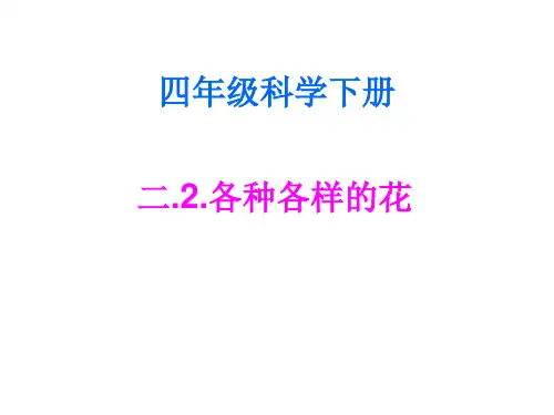 四年级下 各种各样的花教科版实用PPT (共15张PPT)