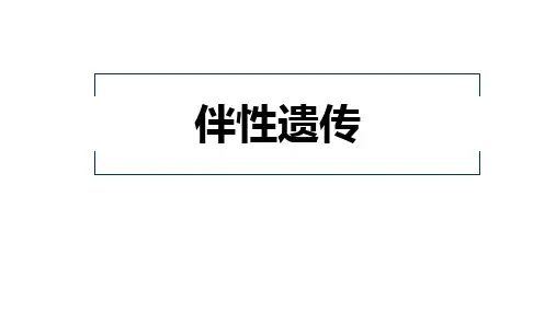 人教版高中生物必修二 伴性遗传 基因和染色体的关系教学课件