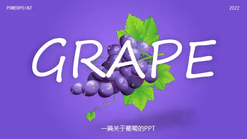 葡萄品种介绍PPT葡萄种植知识介绍PPT课件(带内容)
