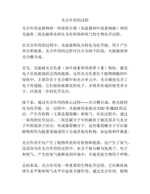 光合作用的过程