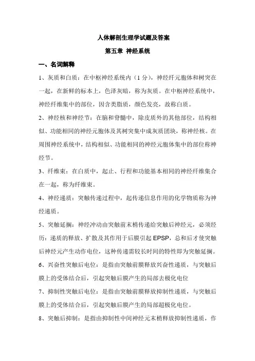人体解剖生理学试题及答案(5)