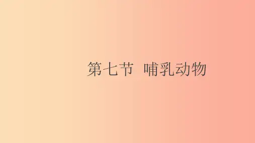 八年级生物上册5.1.7哺乳动物课件 新人教版PPT