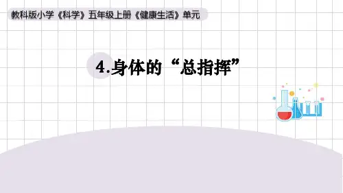 《健康生活》小学科学五年级上册PPT课件