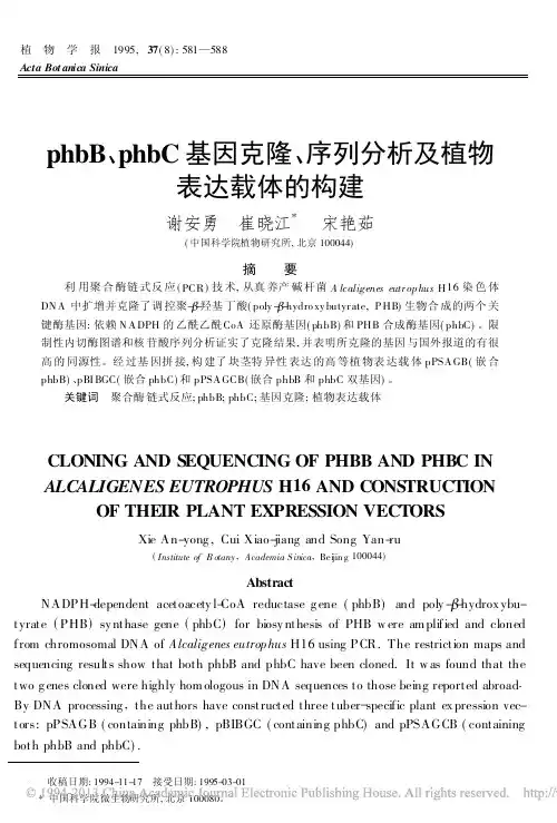 phbB_phbC基因克隆_序列分析及植物表达载体的构建_谢安勇