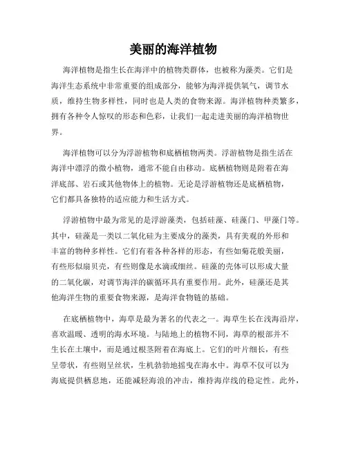 美丽的海洋植物