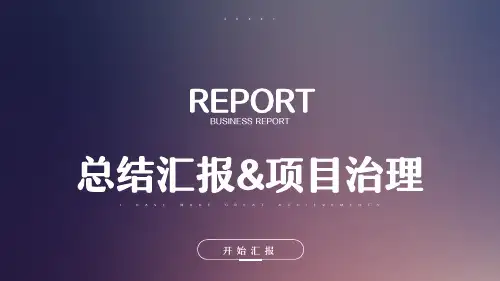 互联网项目总结汇报PPT