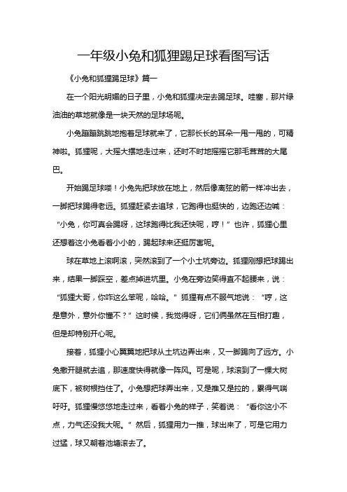 一年级小兔和狐狸踢足球看图写话