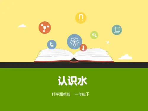 湘科版小学科学一年级下册1.1《认识水》课件