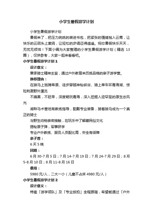 小学生暑假游学计划（精选13篇）