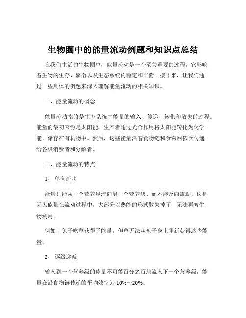 生物圈中的能量流动例题和知识点总结