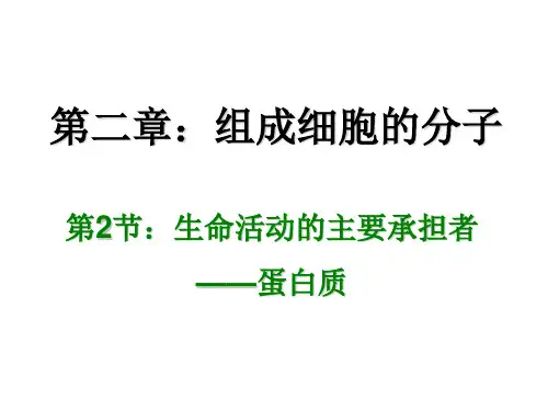 高一生物蛋白质