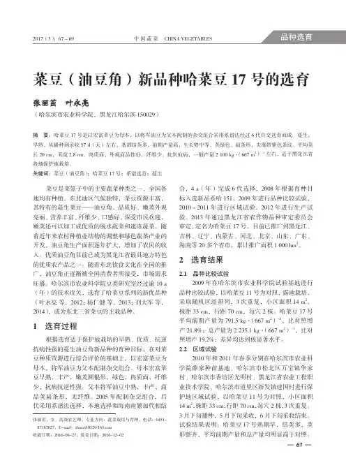菜豆(油豆角)新品种哈菜豆17号的选育