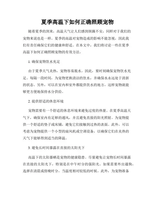 夏季高温下如何正确照顾宠物