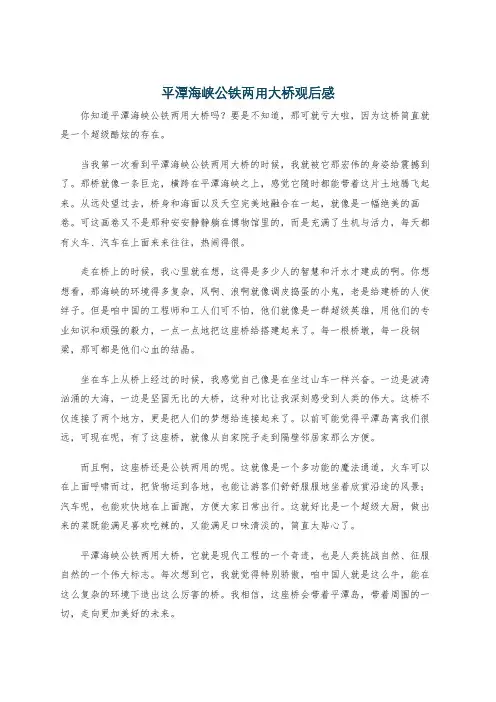 平潭海峡公铁两用大桥观后感