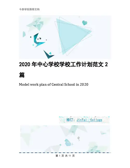 2020年中心学校学校工作计划范文2篇