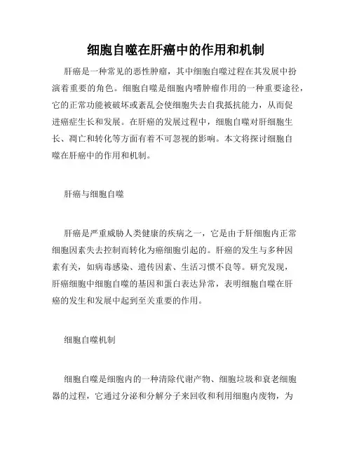 细胞自噬在肝癌中的作用和机制