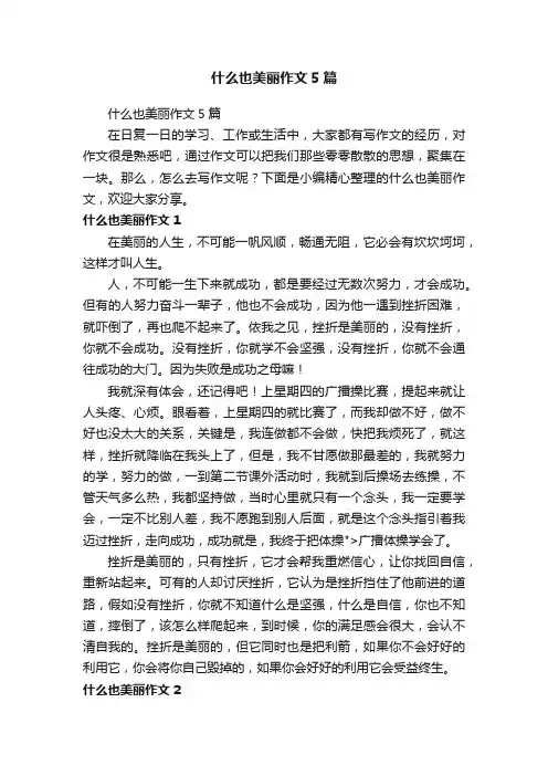 什么也美丽作文5篇