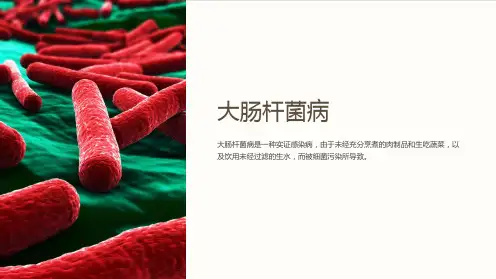 《大肠杆菌病》课件 (2)