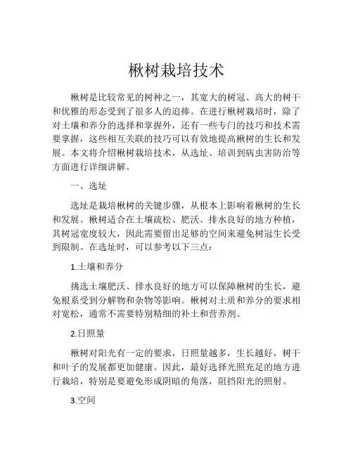 楸树栽培技术