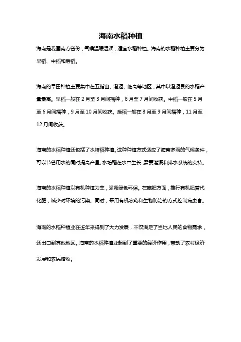 海南水稻种植