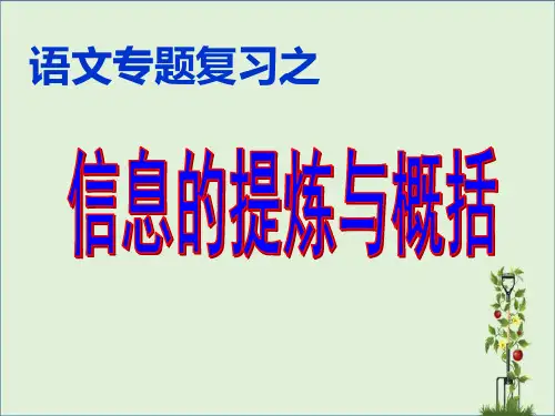 信息的提炼与概括概要